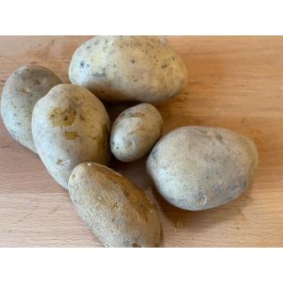 Kartoffeln mehlig