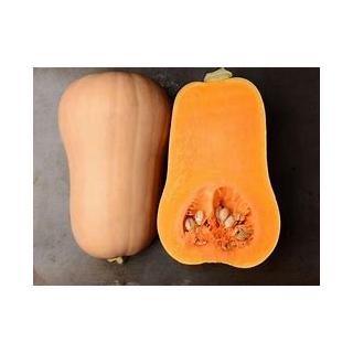 Butternutkürbis