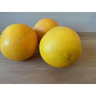 Orangen unbehandelt