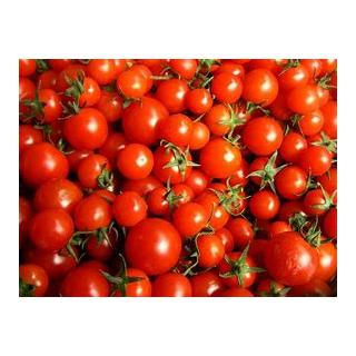 Cocktailtomaten rot