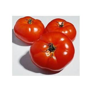 Fleischtomatenpflanze