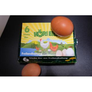 Höri Freilandeier Gr L 6 er Pack