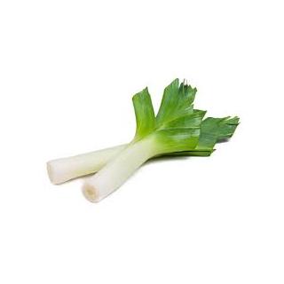 Lauch