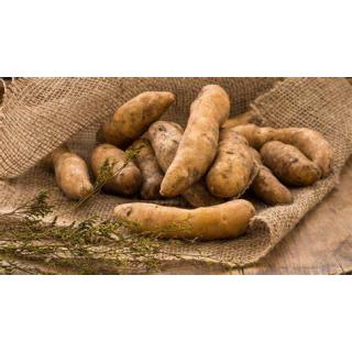 Typ Bamberger Hörnle